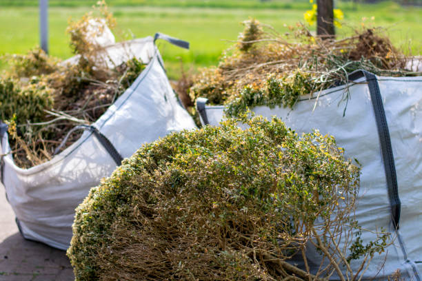 Recycling Services for Junk in Balm, FL